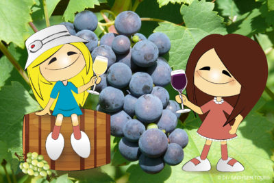 Weinverkostung auf dem Czorneboh